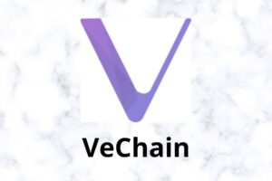 VeChain Finally Unveils Its Game-Changing Announcement