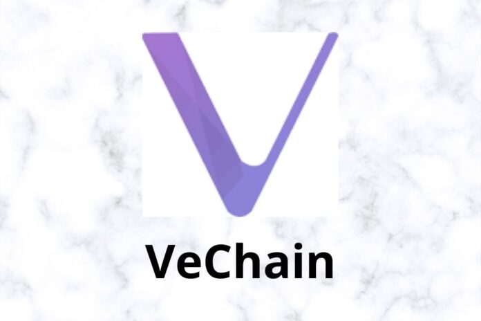 VeChain Partners with Boston Consulting Group, Unveils this New Whitepaper: Details
