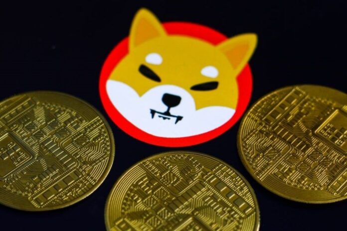 Utel University Now Accepts Tuition Fees in Shiba Inu (SHIB) and Other Cryptos via Bitso