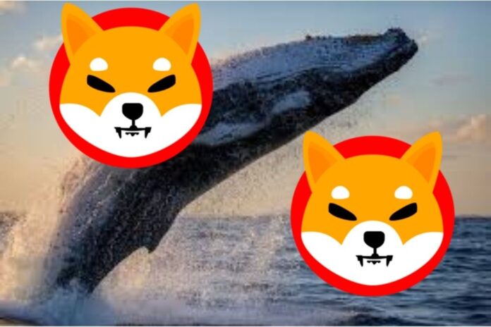 A Top ETH Whale Takes Advantage of Low Prices to Grab 375 Billion SHIB Tokens in a Single Transaction