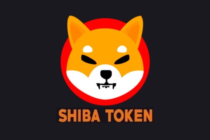 Shiba Inu Community Unravels SHIB Lead Dev's Cryptic Location
