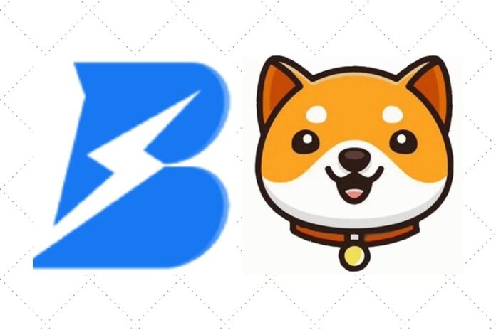 BabyDoge Gains Real World Use Case via Integration with Singapore Based Web3 Payment Gateway