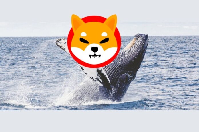 Shiba Inu Whale Moves 4.4 Trillion SHIB, As Bulls Targets Deleting Another Zero