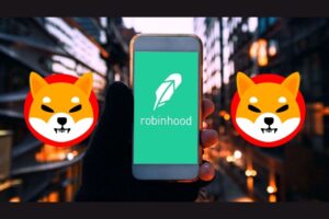 Robinhood Moved 1.75 Trillion SHIB