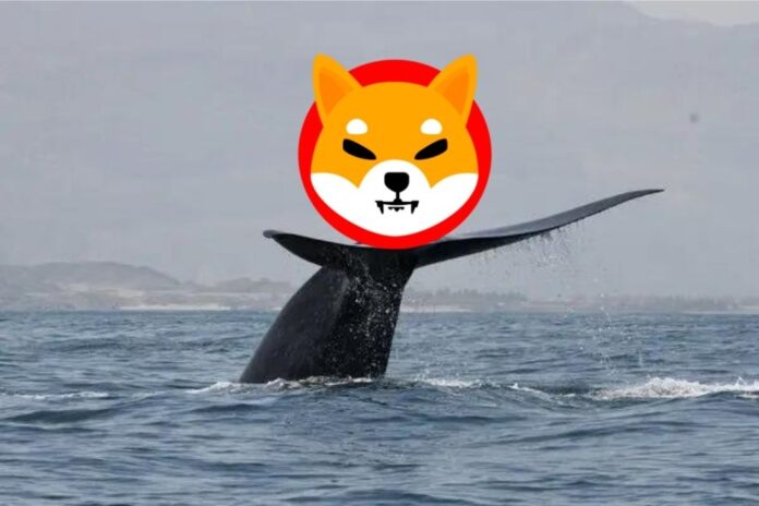 Anon Shiba Inu Whale Moved 3.3 Trillion SHIB in One Transaction. Here’s the Destination
