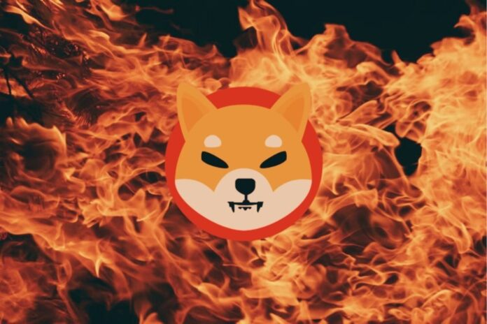 Shibburn: Over 200 Million SHIB Tokens Burned in 24 Hours, Burn Rate Surges 162% over the Last Day