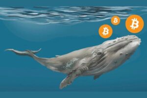 Bitcoin Whale Shifted 74,105 BTC Worth $1.58 Billion in a Series of Transactions. Here’s the Destination