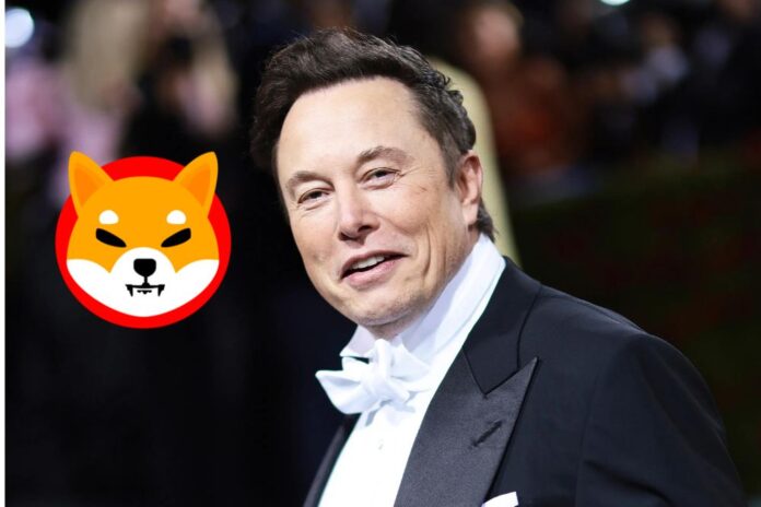 Elon Musk Declares Love For Shiba Inu, Sparks SHIB Army's Reactions, But...