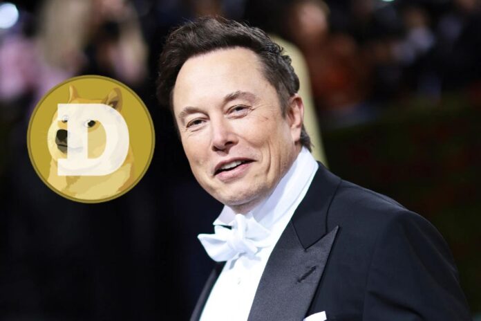 Elon Musk: Actual Dogecoin (DOGE) Total Transaction Capability is Much Higher than Bitcoin (BTC)