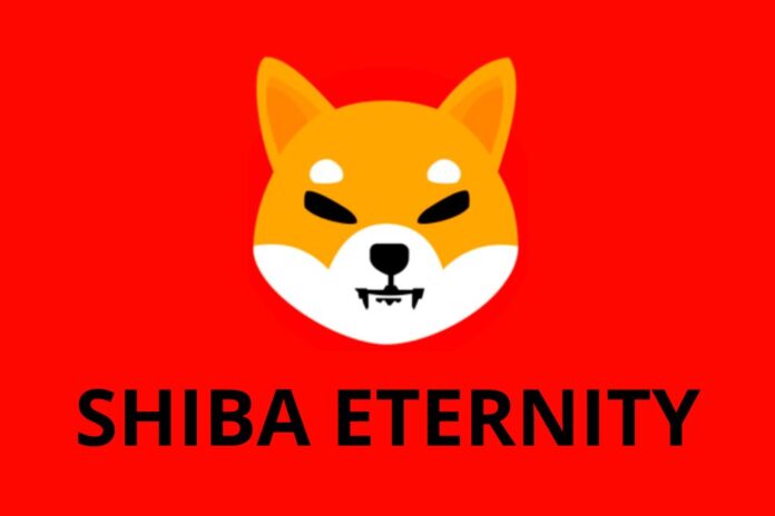 Shiba Eternity Game 