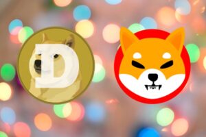 Shiba Inu (SHIB) Team Says Dogecoin (DOGE) Days Are Numbered. Here's why