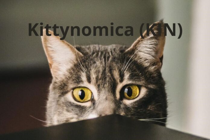 Jumpstart the crypto market with Kittynomica token presale, VeChain and Cosmos this 2022!