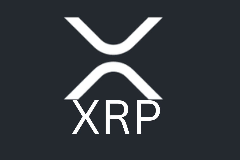 Top US-Based Exchange Reveals Most XRP Investors are Long-Term Holders