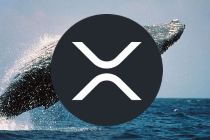 Whales Move 101.8M XRP Within Few Minutes As Bitcoin (BTC) Price Hits 2-Week Low