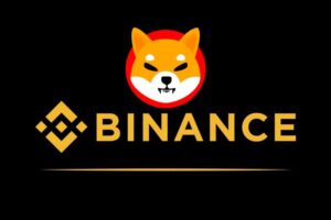 Binance Reveals Amount of SHIB It Currently Holds
