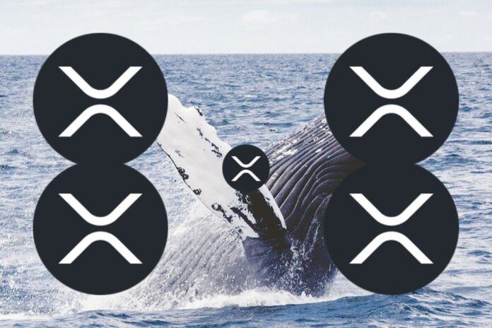 Over 900 Million XRP Moved by Whales and Ripple after Silicon Valley Bank Exposure