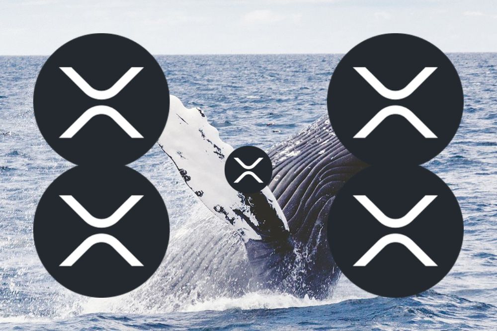 Over 50 Whales that Joined XRP Network over the Past Month Have Accrued 420 Million XRP