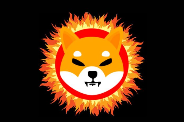 No Manual SHIB Burns for Over 30 Days, Community Demand Answers from Dev Team