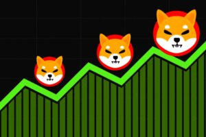 Top Shiba Inu Team Member Foresees SHIB Meteoric Price Surge, Shares Optimistic View