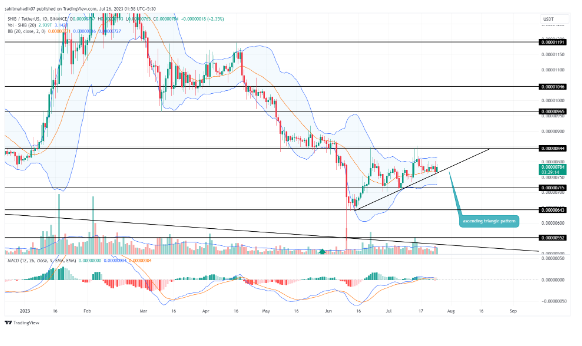 Shiba Inu (SHIB) Primed for a Bullish Surge: 25% Upsurge Imminent? Details