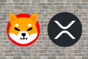 SHIB and XRP Now Available For HSBC Bank Customers Through This New Partnership