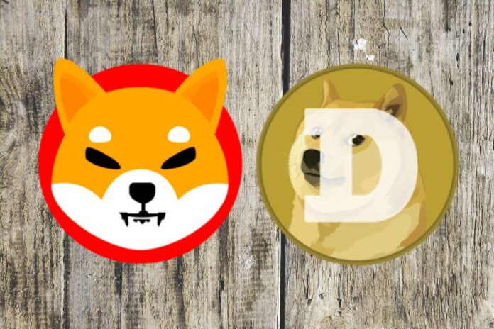 SBI VC Trade Makes Special Announcement For Shiba Inu (SHIB) and Dogecoin (DOGE) Holders