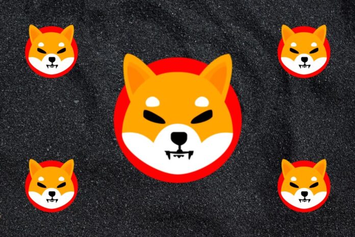Shiba Inu On-Chain Activity Indicates SHIB Price Could Explode Soon: Details