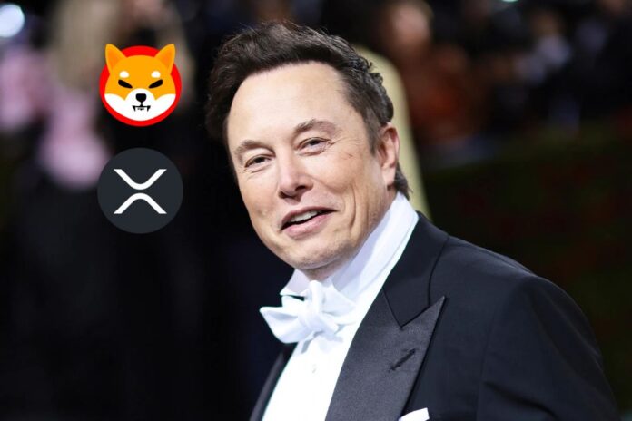 Elon Musk Ignites XRP and SHIB Armies’ Notable Demands with His Recent Post on X