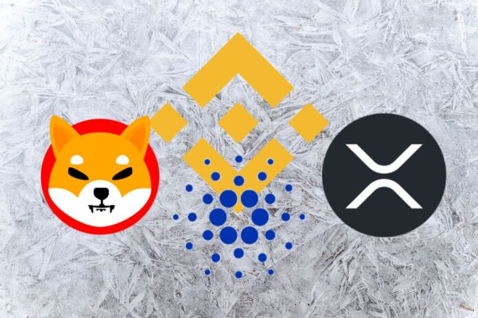 Trading Pairs Delisted By Binance That Affect SHIB, ADA, and XRP Holders: Details