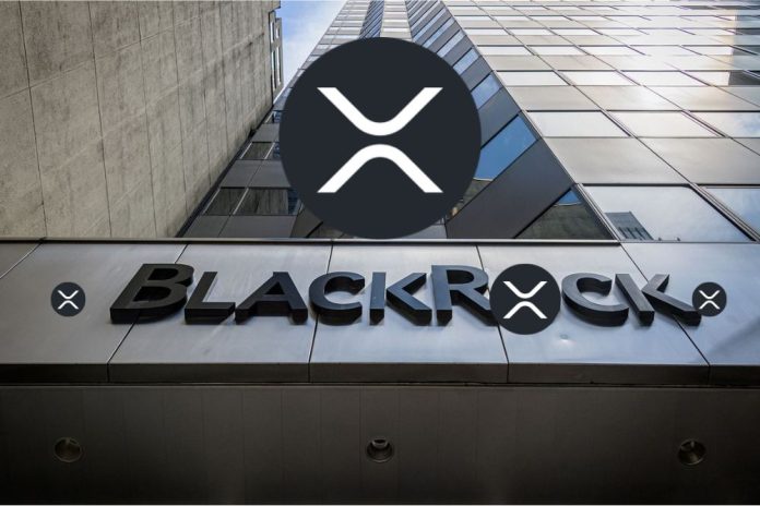 Latest On BlackRock Interest in XRP Spot ETF