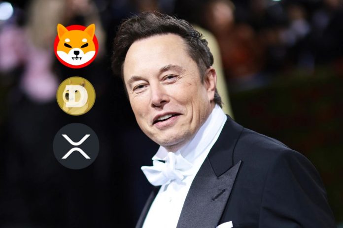 Elon Musk Confirms Tesla Will Accept Dogecoin. Do XRP and SHIB Stand a Chance?
