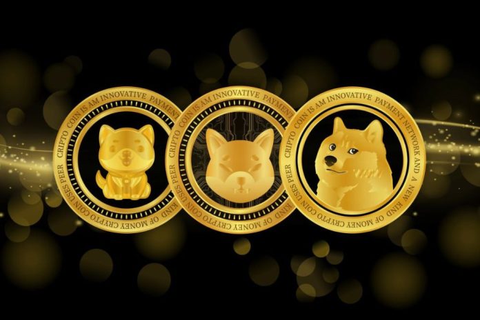 Binance Coin (BNB) Holders Explore New 100X Meme Cryptocurrency With BNB Profits