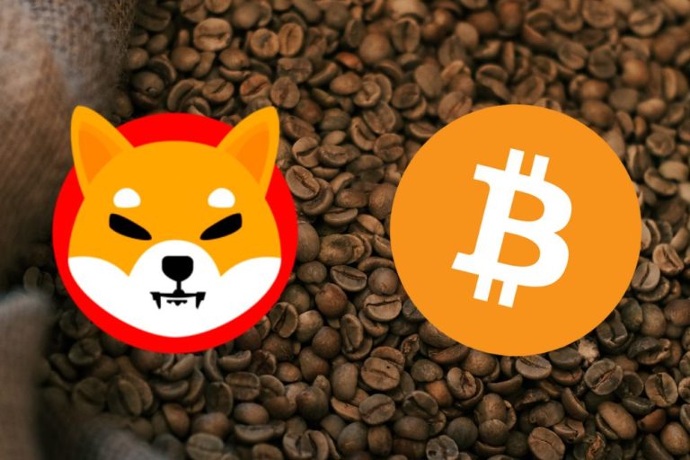 Shiba Inu (SHIB) Gains Momentum as It Finally Decouples From Bitcoin ...