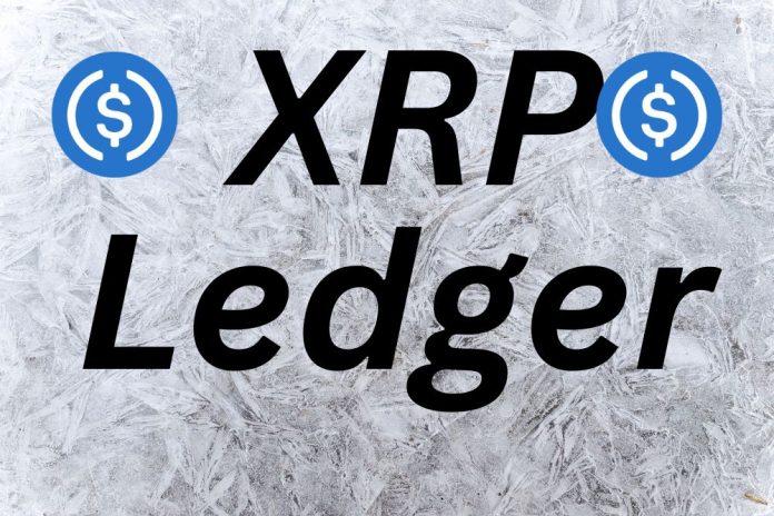 Circle Considers Bringing USDC to XRP Ledger, But Something Sparks Speculation
