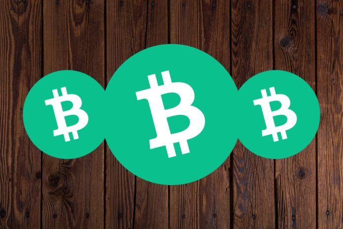 Bitcoin Cash: Network Nodes