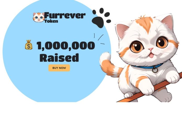 Can Furrever Token (FURR) Outshine Binance Coin (BNB) and Dogecoin (DOGE) with its 15X ROI Offer?
