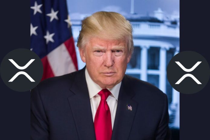 Speculations On Whether Donald Trump Holds XRP