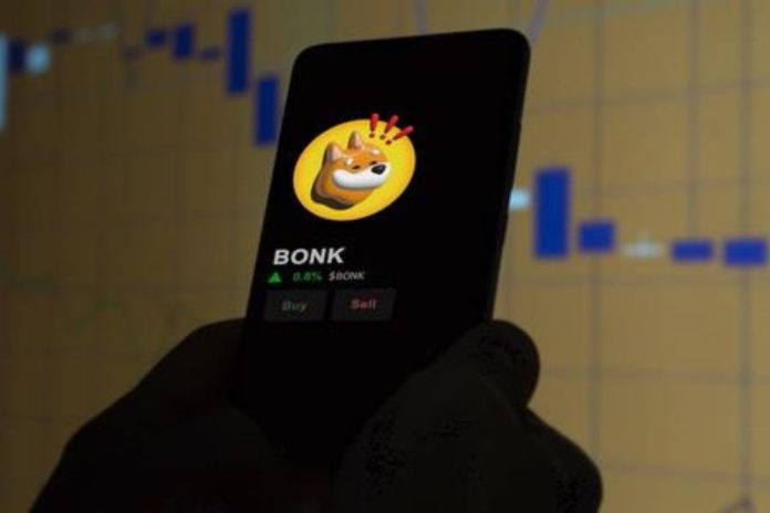 Savvy Investors Buy the Toncoin and BONK Dips; Is InQubeta the Best Crypto to Invest in This Quarter?