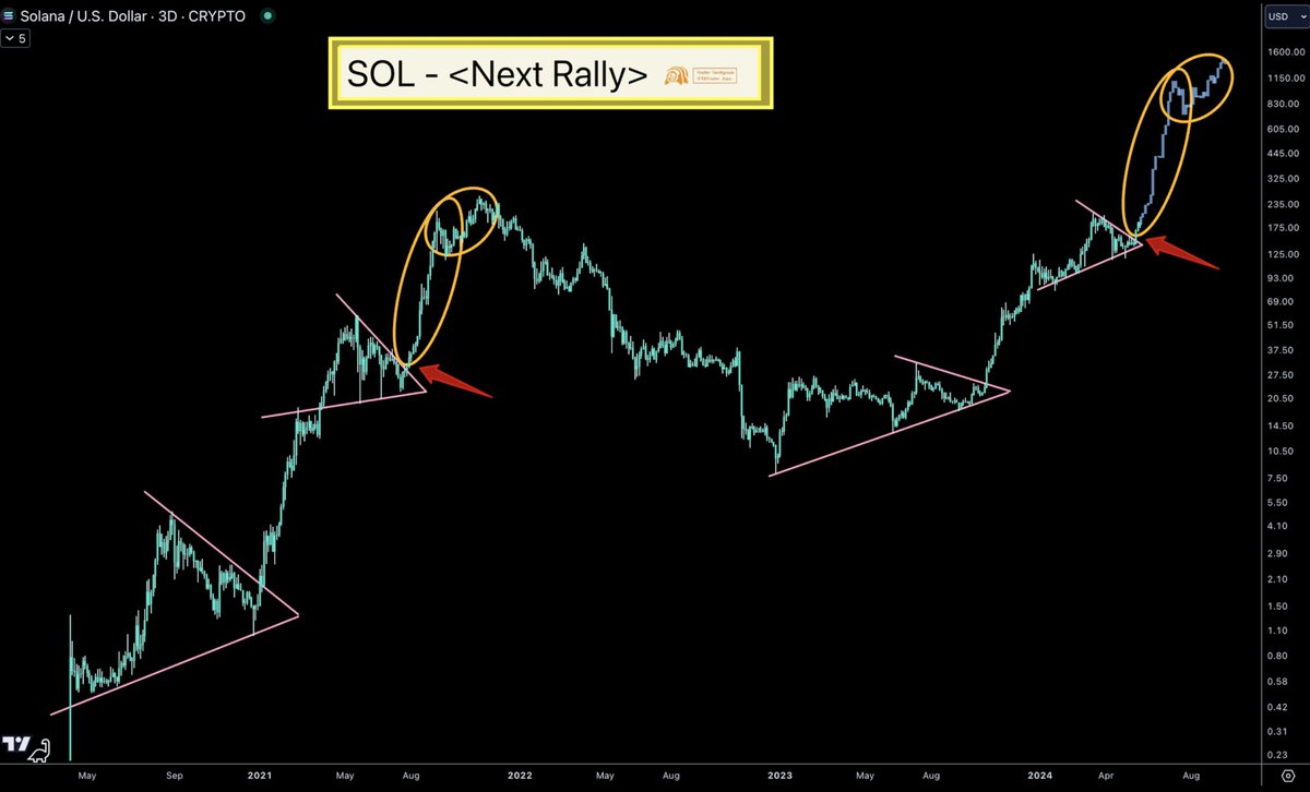 Market Strategist Says SOL Is Heading to $1000. Here's why