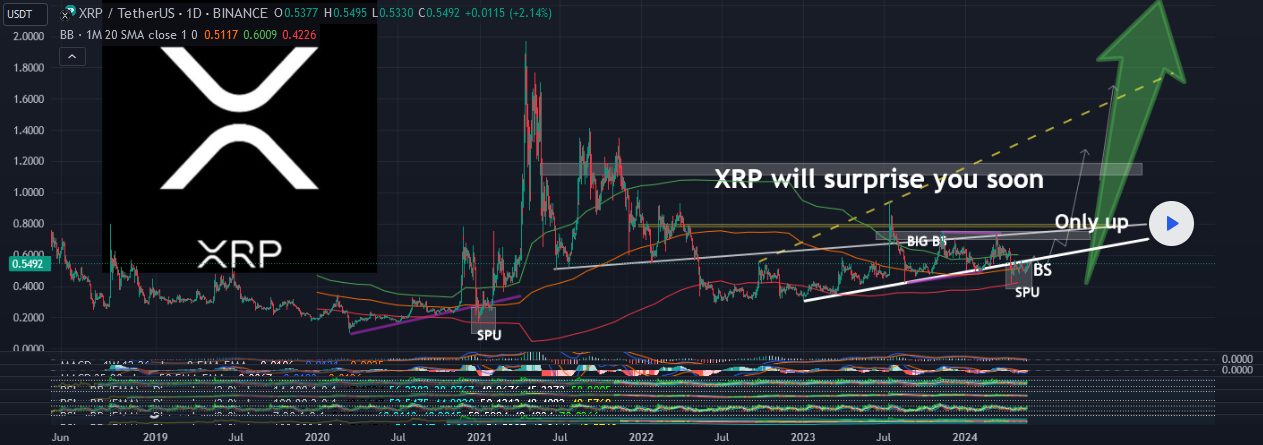Analyst Shares Four Stages of XRP Price Action, Forecasts Rocket Rally by Summer