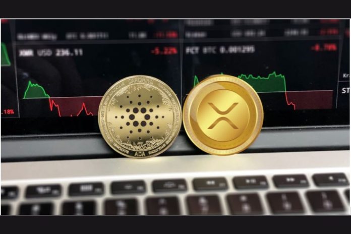 Ripple (XRP) and RCO Finance (RCOF) Record Spike in Activity in 24 Hours, While Cardano (ADA) Drops