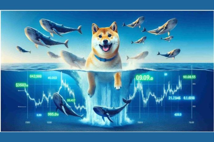 Whale Alert Shiba Inu and Dogecoin Whales on the Brink of Moving $10 Million to RCO Finance (RCOF), Here's Why