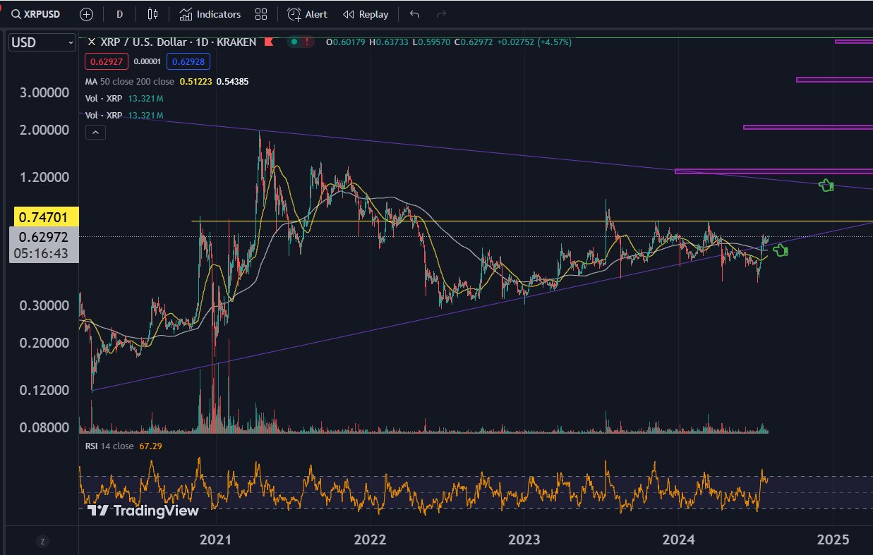 Expert States What Must Happen Before 166,500% XRP Price Rally