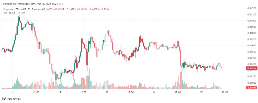 Why PawFury’s 20x Rise Could Leave Cardano and Dogecoin Behind: Pepe and Toncoin Emerge as 2024 Crypto Giants