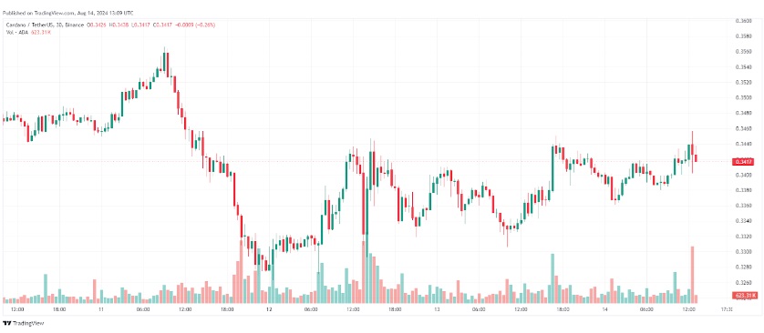 Why PawFury’s 20x Rise Could Leave Cardano and Dogecoin Behind: Pepe and Toncoin Emerge as 2024 Crypto Giants