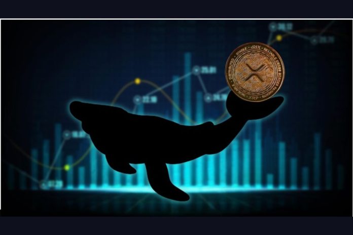 Ripple Whales Shift to $0.034 Ethereum Token as XRP Price Stalls, but Why