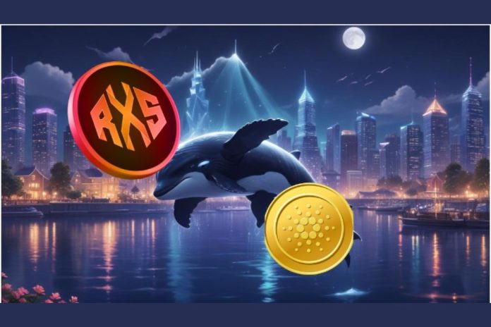 Experts Confident ADA Will Lose Its Top 10 Position to This Cardano-Killer, Whale Interest in Rexas Finance Hits Record Levels This Week