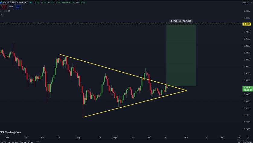 Crypto Bull Run Edges Closer, Will Cutoshi Or Cardano Top Profit Tables When Q4 Is Over As DeFi Battle Continues