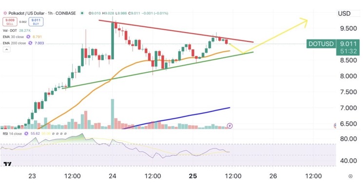 Whales Open the Floodgates to Altcoin Rally: Dogecoin, Polkadot, and DTX Exchange Lead With 88% Gains