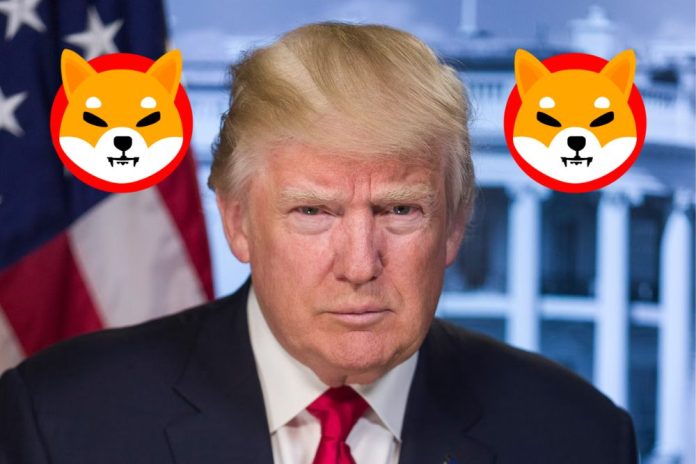 We Asked ChatGPT How High Donald Trump Victory Could Push Shiba Inu (SHIB) Price